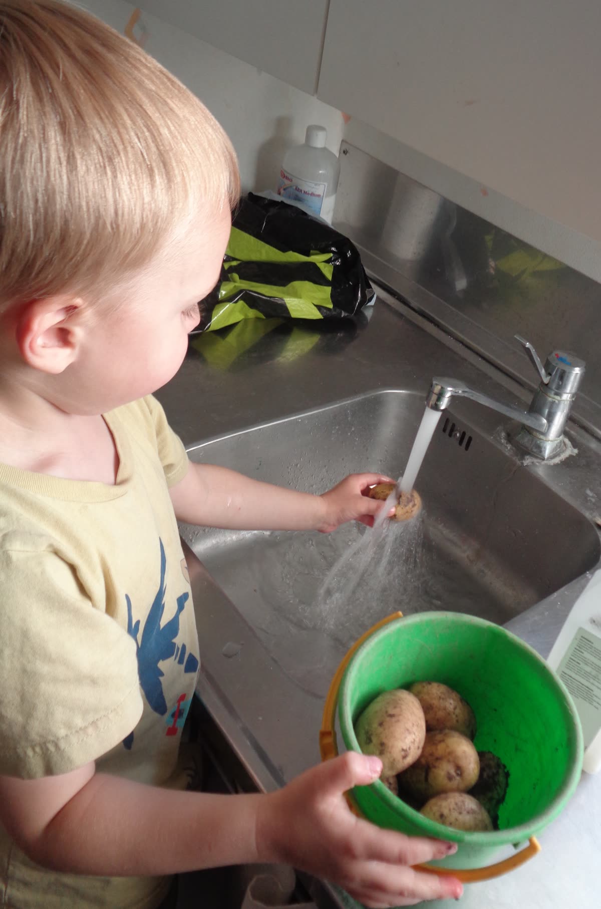 Ett barn sköljer nyskördad potatis under kranen och håller en grön hink i andra handen.